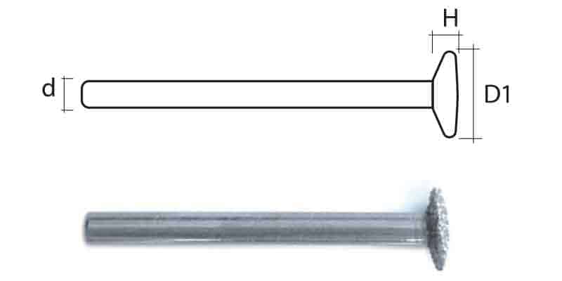 Mollettina diamantata